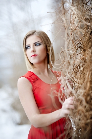 Attractive model in fashion dress in winter countryの写真素材