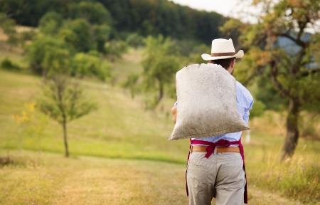 Young male gardener working in the gardenの写真素材