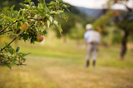 Young male gardener working in the gardenの写真素材