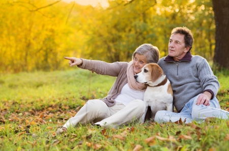 Senior couple walking their beagle dog in autumn countrysideの写真素材