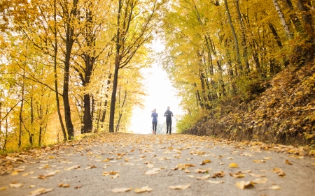Young running couple jogging in autumn natureの写真素材