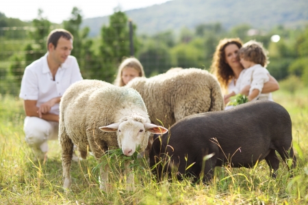Family with five kids is feeding animals on the farmの写真素材