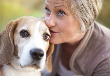 Senior woman hugs her beagle dog in countrysideの写真素材
