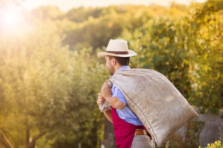 Young male gardener carrying a bag in summer garden