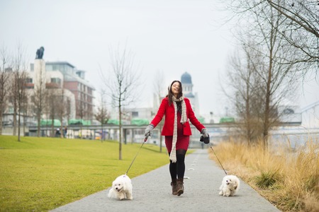 Winter outdoor portrait of pregnant woman in fashionable clothes walking two dogsの写真素材