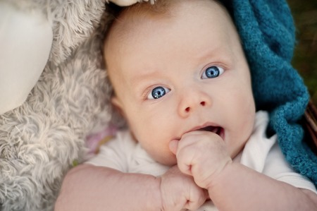Happy baby boy lying in the basket in natureの写真素材