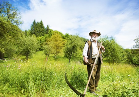 Old farmer with beard using scythe to mow the grass traditionallyの写真素材