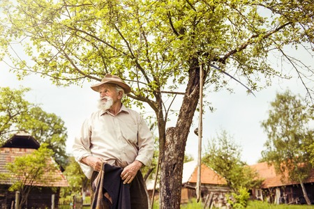 Old farmer with beard working with rake in gardenの写真素材