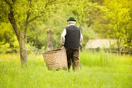 Portrait of old farmer with beard and hat carrying big basketの写真素材