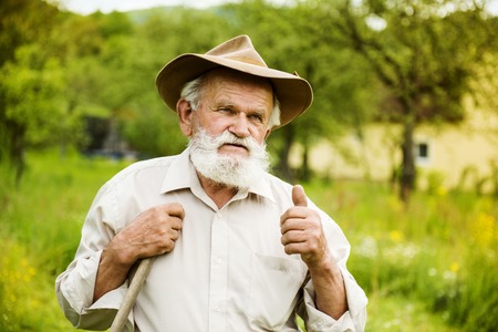 Old farmer with beard working with rake in gardenの写真素材