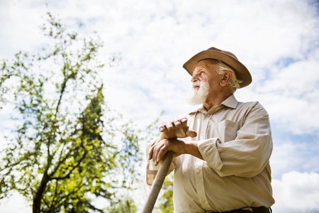 Old farmer with a hoe is having break from weedingの写真素材