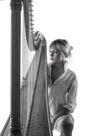 Harp player