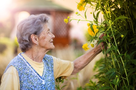 Portrait of senior woman in apron with yellow flower in the sunny gardenの写真素材