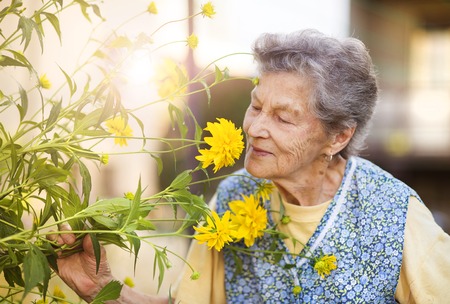 Portrait of senior woman in apron with yellow flower in the sunny gardenの写真素材