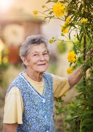 Portrait of senior woman in apron with yellow flower in the sunny gardenの写真素材