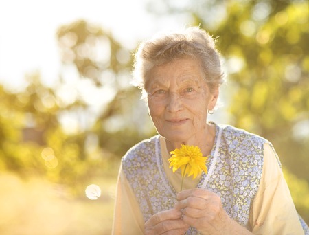 Portrait of senior woman in apron with yellow flower in the sunny gardenの写真素材