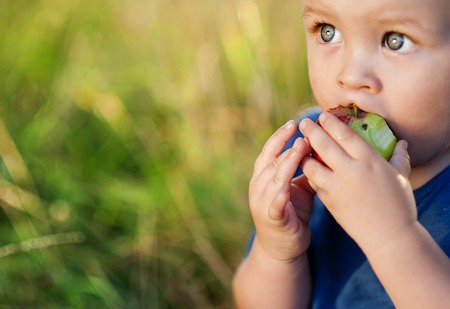 Cute little boy eating a red apple in green parkの写真素材