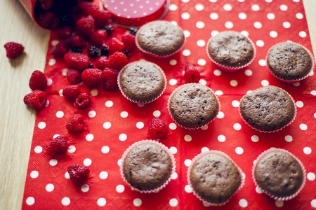 Chocolate muffinsの写真素材