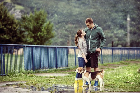 Young couple in colorful wellies walk beagle dog in rain.の写真素材