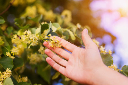 00361223-e117-45b2-affc-b55996fd9440の写真素材