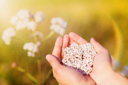 383844d1-60ac-4acb-b865-d4ac4eb91716の写真素材