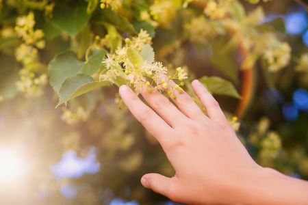 d1b38c06-bc76-4ced-9fa2-a4ab61b8b5acの写真素材