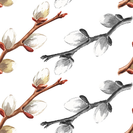 Hand drawn pussy willow branches background. Vector illustration.のイラスト素材