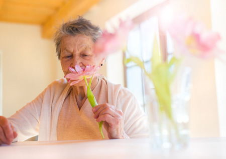 Beautiful senior woman holding a pink flower.の写真素材