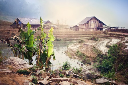 Traditional terraced rice fields and houses in hills of Sapa Vietnam.の写真素材