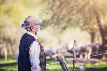 Senior farmer outside in beautiful summer natureの写真素材