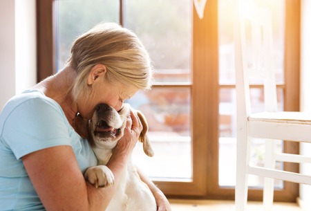 Senior woman with her dog inside of her house.の写真素材