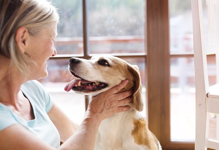 Senior woman with her dog inside of her house.の写真素材