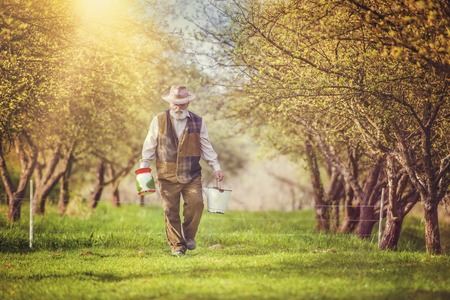 Senior farmer with jug and bucket for milking outside in green natureの写真素材