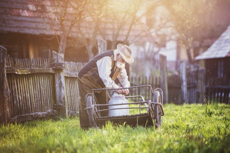 Senior farmer carrying kettle full of milk