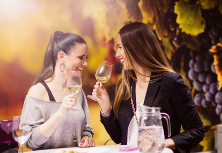 Two beautiful women having fun in a wine barの写真素材