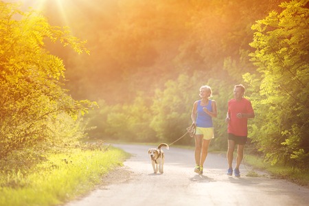Active seniors running with their dog outside in green natureの写真素材
