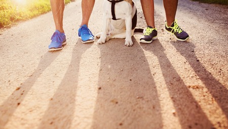 Unrecognizable seniors getting ready for a run with their dog outside in green nature