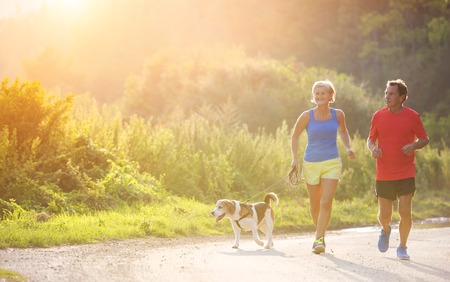 Active seniors running with their dog outside in green natureの写真素材