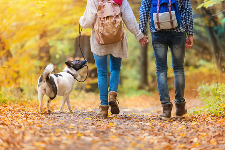 Beautiful young couple on a walk in autumn forest