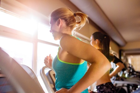 Two attractive fit women running in sports clothes on treadmills in modern gym, sunny day, back...