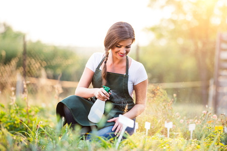 Young gardener in green apron sprinkling various plants in her garden, sunny summer natureの写真素材