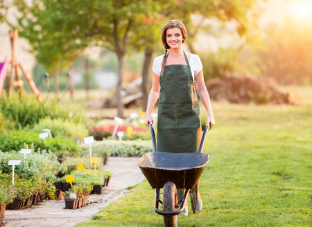 Gardener with wheelbarrow in green apron working in back yard, sunny summer nature, sunsetの写真素材