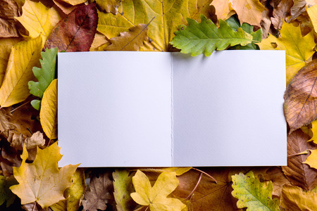 Autumn composition, empty greeting card and colorful leaves. Studio shot on wooden background. Copy...
