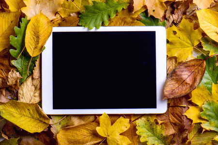 Autumn composition. Close up of colorful oak, maple, birch and beech leaves and tablet. Studio shot.の写真素材