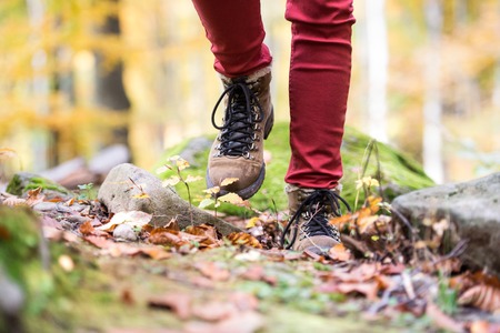 Close up of legs of unrecognizable woman in autumn nature walking from rock covered with green moss. Hiking shoes.の写真素材