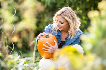 Beautiful young blond woman in denim shirt working in her garden harvesting pumpkins. Autumn nature.の写真素材