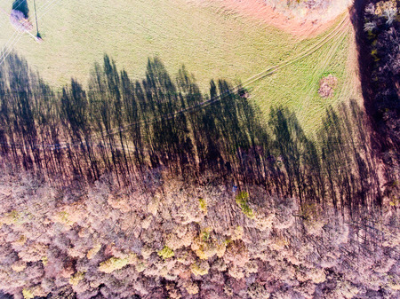 Aerial view of colorful autumn forest.の写真素材