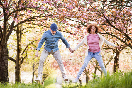 Beautiful senior couple in love outside in spring nature.の写真素材