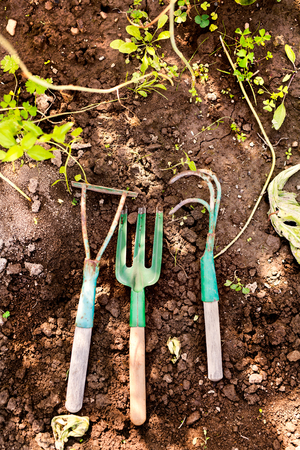 Composition of garden tools in the garden.の写真素材