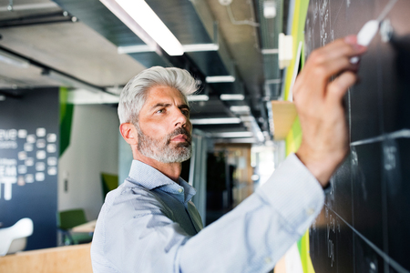 Mature businessman with gray hair in the office.